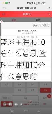 篮球主胜加10分什么意思,篮球主胜加10分什么意思啊