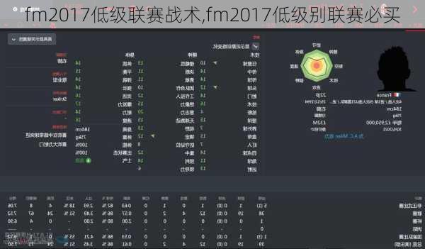 fm2017低级联赛战术,fm2017低级别联赛必买