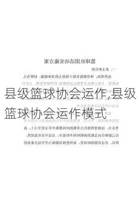 县级篮球协会运作,县级篮球协会运作模式