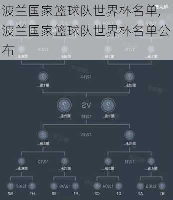 波兰国家篮球队世界杯名单,波兰国家篮球队世界杯名单公布