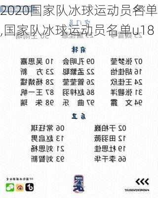 2020国家队冰球运动员名单,国家队冰球运动员名单u18