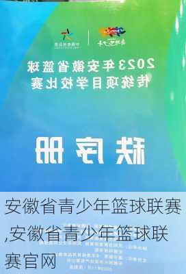 安徽省青少年篮球联赛,安徽省青少年篮球联赛官网