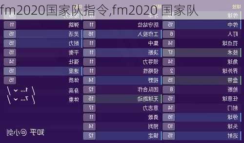 fm2020国家队指令,fm2020 国家队