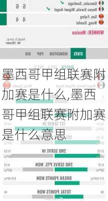 墨西哥甲组联赛附加赛是什么,墨西哥甲组联赛附加赛是什么意思