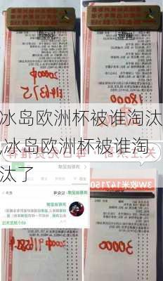 冰岛欧洲杯被谁淘汰,冰岛欧洲杯被谁淘汰了