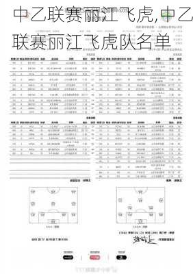 中乙联赛丽江飞虎,中乙联赛丽江飞虎队名单