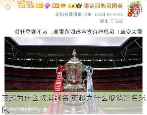 英超为什么取消冠名,英超为什么取消冠名球队