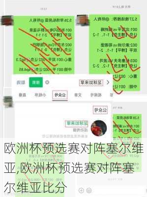 欧洲杯预选赛对阵塞尔维亚,欧洲杯预选赛对阵塞尔维亚比分