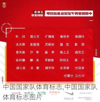 中国国家队体育标志,中国国家队体育标志图片