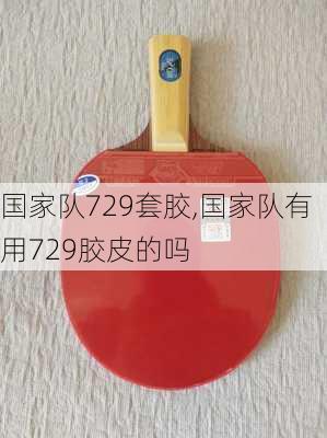 国家队729套胶,国家队有用729胶皮的吗