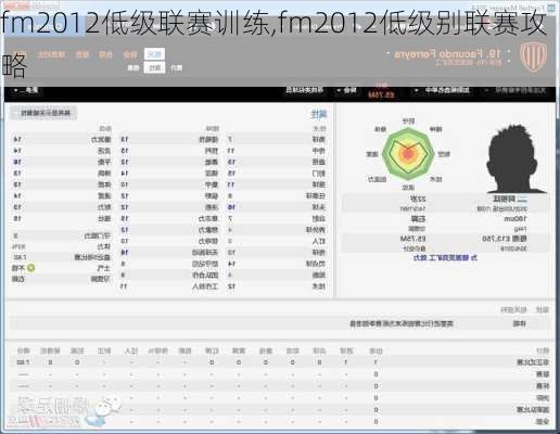 fm2012低级联赛训练,fm2012低级别联赛攻略