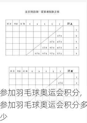 参加羽毛球奥运会积分,参加羽毛球奥运会积分多少