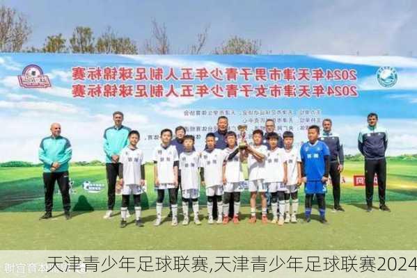 天津青少年足球联赛,天津青少年足球联赛2024