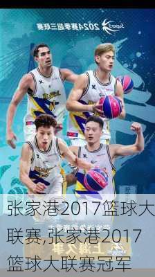 张家港2017篮球大联赛,张家港2017篮球大联赛冠军