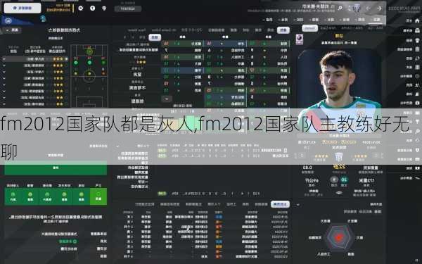 fm2012国家队都是灰人,fm2012国家队主教练好无聊