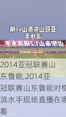 2014亚冠联赛山东鲁能,2014亚冠联赛山东鲁能对横滨水手现场直播在哪看