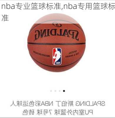 nba专业篮球标准,nba专用篮球标准