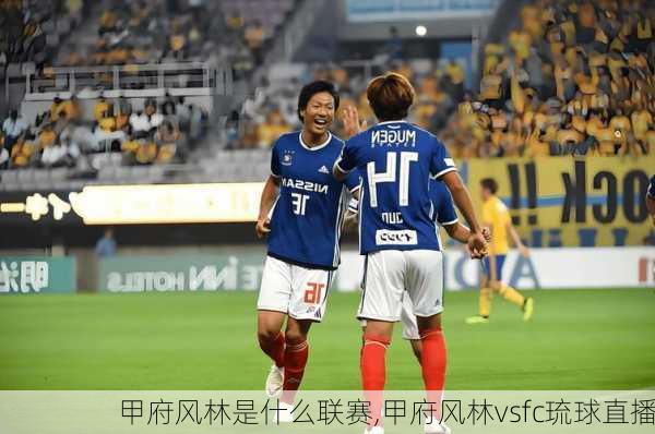 甲府风林是什么联赛,甲府风林vsfc琉球直播