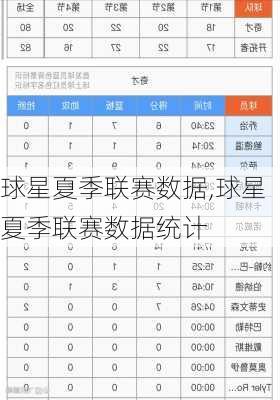 球星夏季联赛数据,球星夏季联赛数据统计