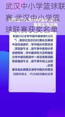 武汉中小学篮球联赛,武汉中小学篮球联赛获奖名单