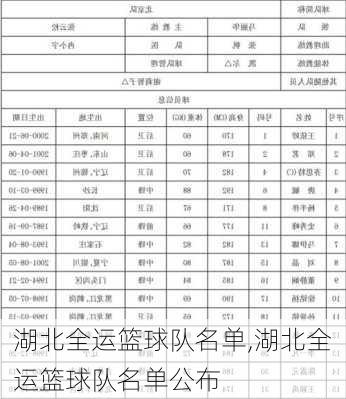 湖北全运篮球队名单,湖北全运篮球队名单公布