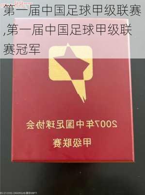 第一届中国足球甲级联赛,第一届中国足球甲级联赛冠军