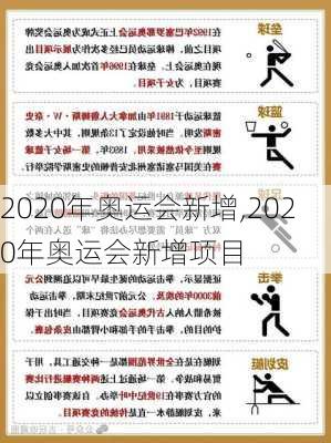 2020年奥运会新增,2020年奥运会新增项目