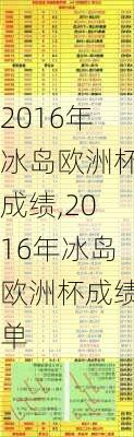 2016年冰岛欧洲杯成绩,2016年冰岛欧洲杯成绩单