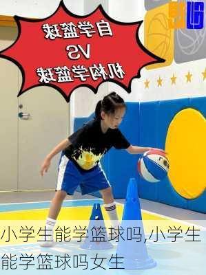 小学生能学篮球吗,小学生能学篮球吗女生