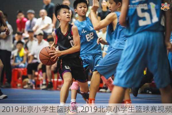 2019北京小学生篮球赛,2019北京小学生篮球赛视频