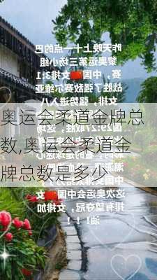 奥运会柔道金牌总数,奥运会柔道金牌总数是多少