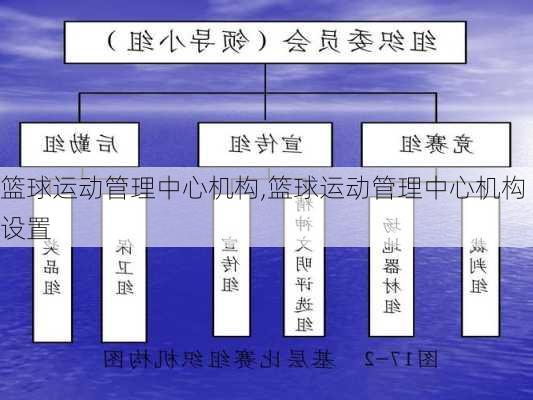 篮球运动管理中心机构,篮球运动管理中心机构设置